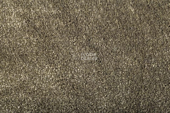 Ковролин Condor Carrera 40 фото 1 | FLOORDEALER